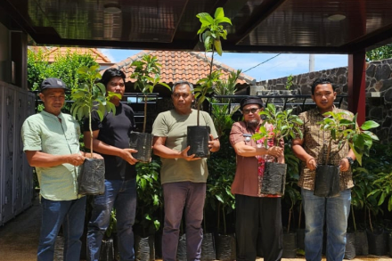 PT Empat Sekawan Mulia Bagikan 1000 Bibit Alpukat Aligator untuk Masyarakat Pamekasan
